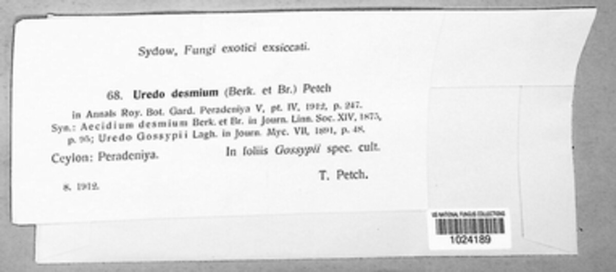 Uredo desmium image